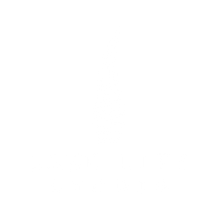 Lake Life Studio