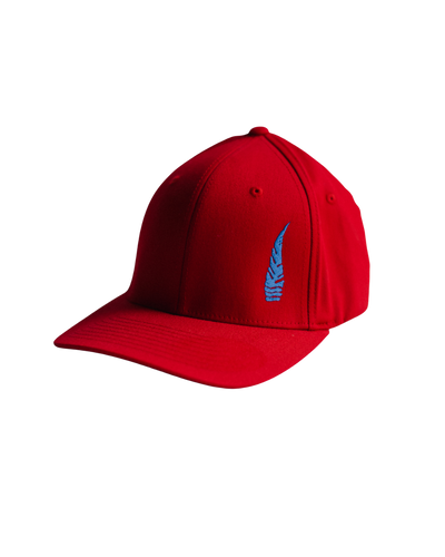 Fitted Six Panel Hat